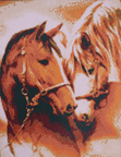 Paarden
