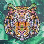 Tijger