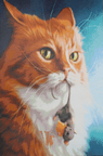 Kat met muis